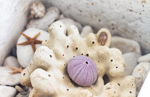 Apartments Laura - Foto 36