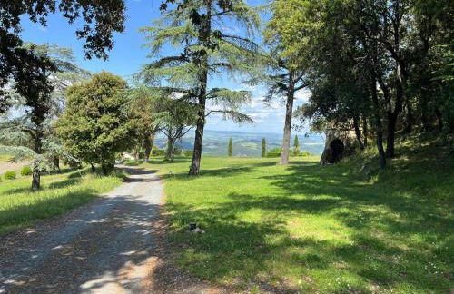 Agriturismo Aia Leccioni - Foto 29