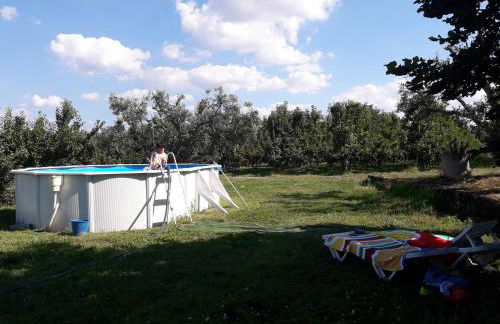 Casa do Feitor - Douro - Quinta da Cabrida - Foto 39