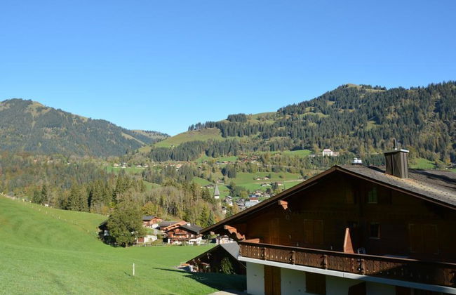 Hornflue (Wohlwender) - Foto 10