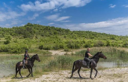 DAMJANIĆ HOLIDAY HOUSE - Foto 34