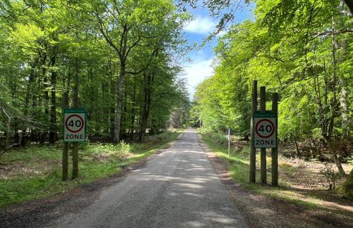 Jungle lodge - Photo 56