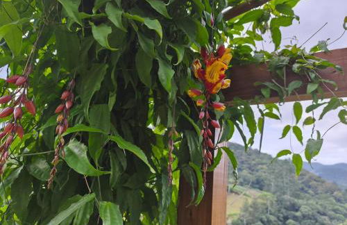 Refúgio Som das Águas, apenas 38km de Florianópolis com wifi e piscina - Photo 11