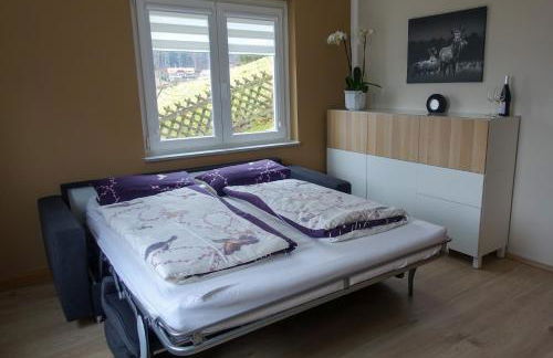 Ferienwohnung am Hirschkopf - Foto 10