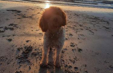 Wendon Holidays - Photo 40