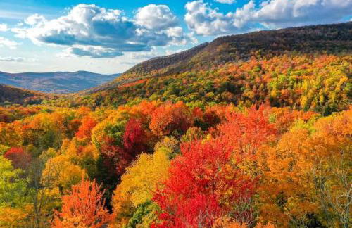 100 percent Private! Pool, Views, Skiing, Theatre! - Foto 69