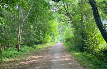 Strandhaus JP - Foto 19