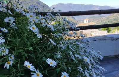 Casas Rurales Encarnita - Foto 9