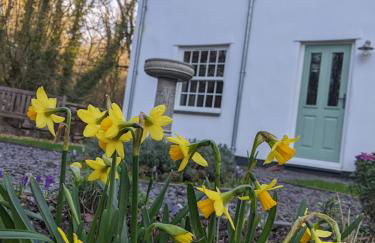 Riverside cottage walking distance into Caernarfon - Photo 21