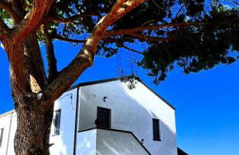 Kubos Agrirelais - Foto 7