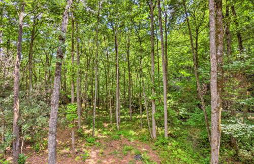 Pet-Friendly Otto Mountain Cabin with Fireplace! - Foto 23