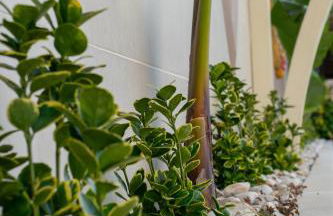 Aqua Suites Doria - Foto 20