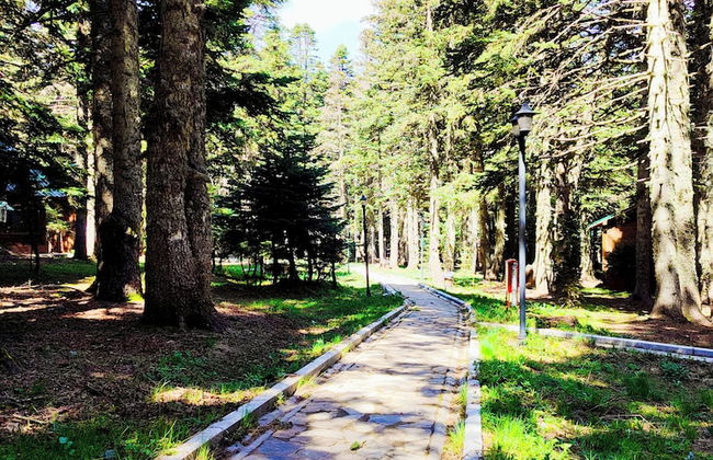 Karinna Forest Houses - Foto 50