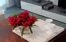 Ca Na Xisca - Foto 28