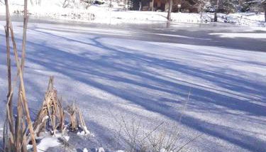 Le Kota Montagne - Foto 4