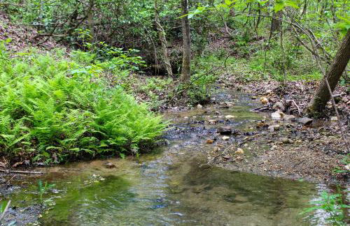 Sautee Nacoochee Mtn Paradise with Spacious Deck! - Foto 22