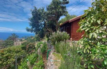 Cabaña Los Palmeros, vista al mar y la montaña - Photo 9