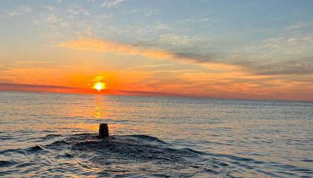 The Beach Huts - Camber Sands - Foto 4