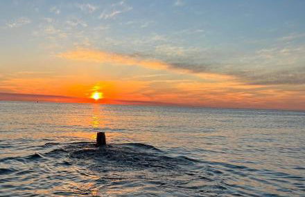 The Beach Huts - Camber Sands - Foto 4