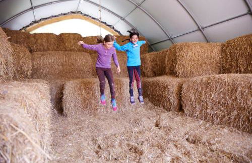 Luxuswellnesshaus Strandburg - Foto 17