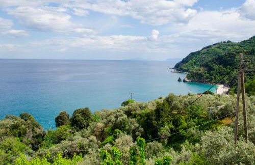 Guesthouse Enastron - Foto 41