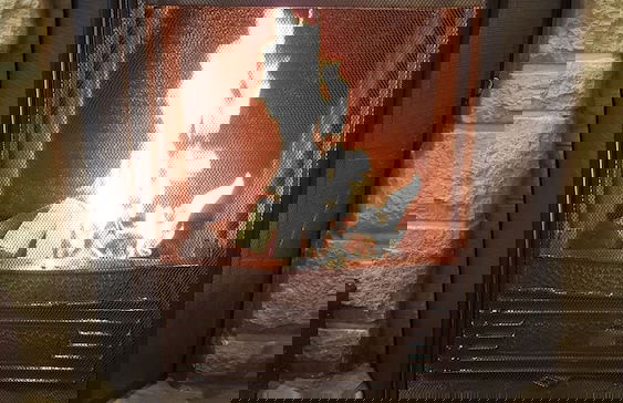 Woodpeckers Cottage - Photo 10