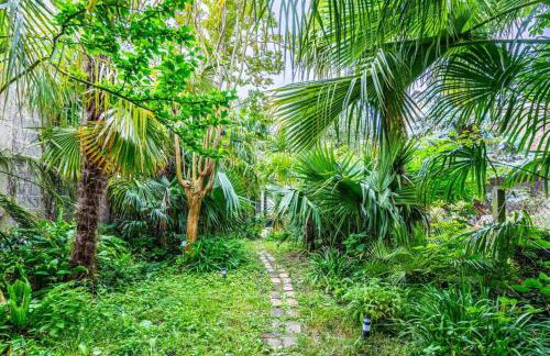 Tropical House - Foto 12