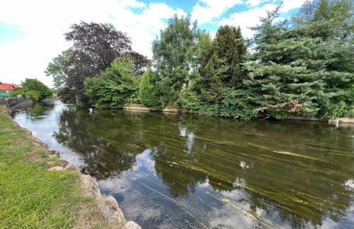 Apartment Tomm by Europa-Park & Rulantica - Photo 45