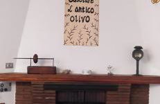 Casolare L'Antico Olivo - Foto 25