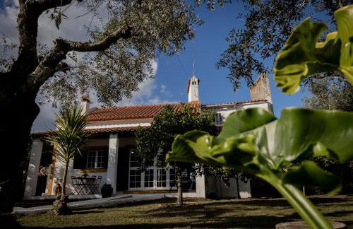 A Casa da Ti Vina - Foto 52