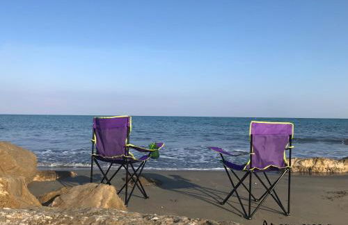 Tartaruga House - Foto 3