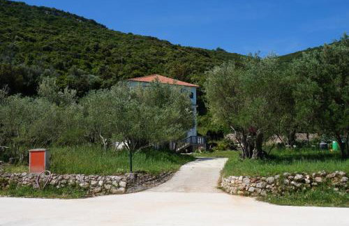 Apartments by the sea Luka, Dugi otok - 8182 - Photo 1