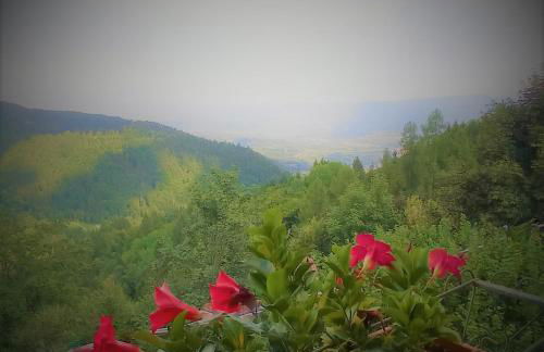 La Casa di Anna nel Parco delle Dolomiti Croce d' Aune 1000 ml slm - Foto 73