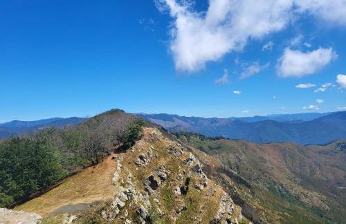 Ca du Bensa - Foto 33