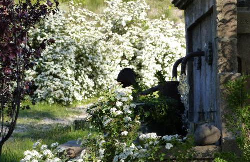 Pigeonnier des Banons - Foto 16