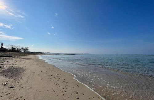 Le conchiglie relax in spiaggia - Foto 16