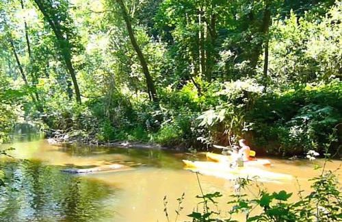 Le Moulin de la Touche Minoterie Piscine - Foto 36