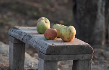 Casa do Muro Alto - Foto 52