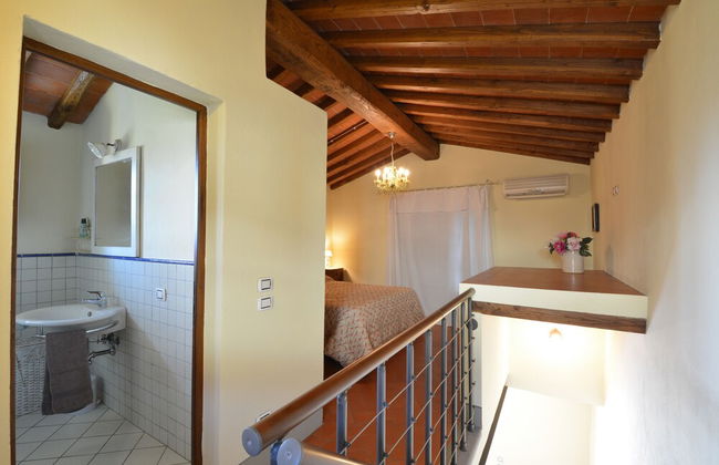 azienda agricola lo zolfino - Foto 15