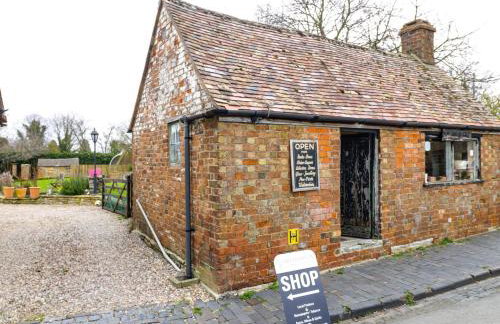 Alstroemeria - Photo 16