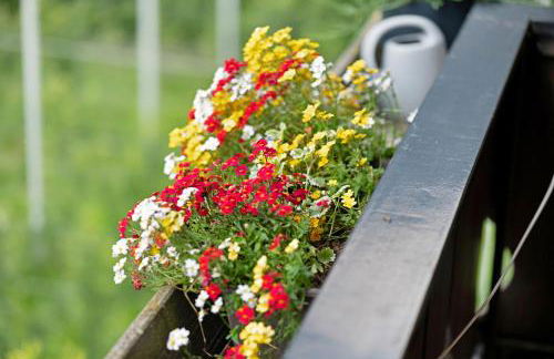 Bauernhof Sackgut - Foto 49