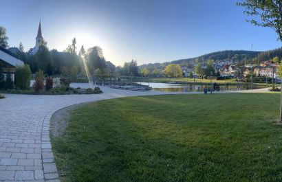 Schwarzwald-Idylle in Schonach - Foto 43