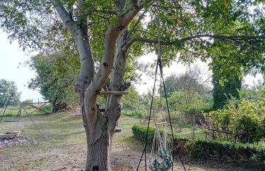 Agroturystyka Zielony Zakątek - Foto 60