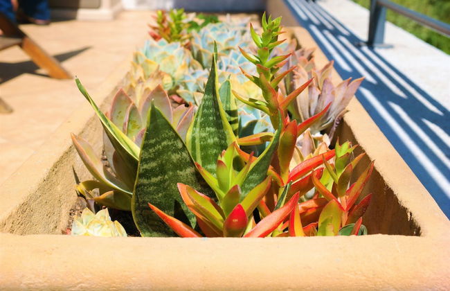 Waterstone West A103 by CTHA - Photo 17