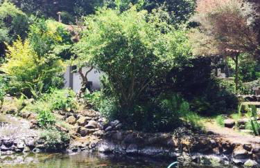 Moinho do Comandante - Foto 11