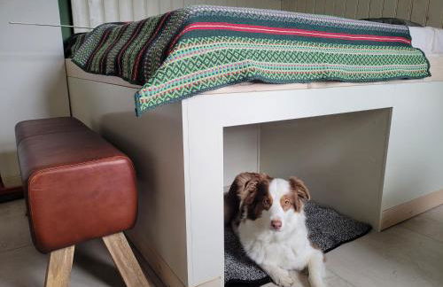 Hillehof Ostrau - Photo 30