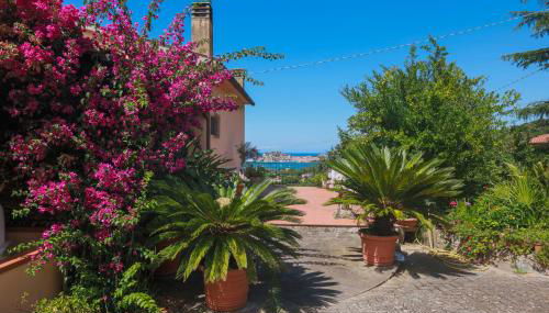 Casa dei Fiori - Goelba - Foto 5, Garden