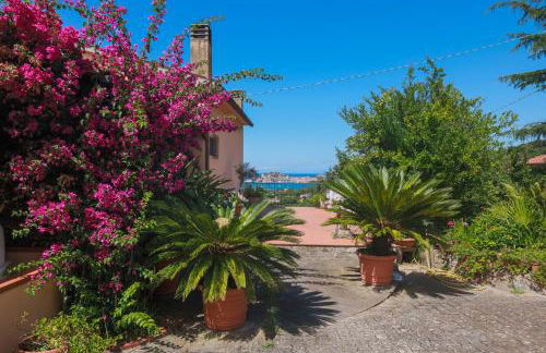 Casa dei Fiori - Goelba - Foto 5