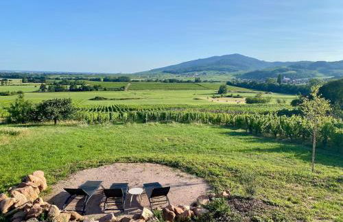 L'horizon des vignes - Foto 1