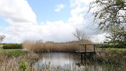 Ferienwohnung Süderdeich - Foto 2, Garden view